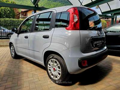 Fiat Panda 1.0 FireFly S&S Hybrid Grigio usata Bisuschio