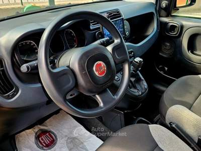 Fiat Panda 1.0 FireFly S&S Hybrid Grigio usata Bisuschio