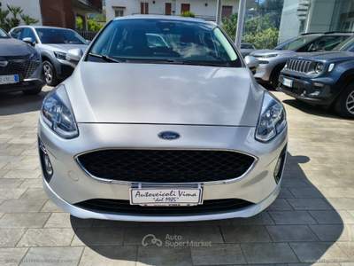 Ford Fiesta Fiesta 1.1 75 CV GPL 5p. Plus Argento usata Somma Vesuviana