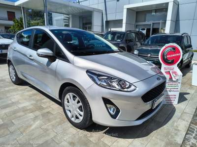 Ford Fiesta Fiesta 1.1 75 CV GPL 5p. Plus Argento usata Somma Vesuviana