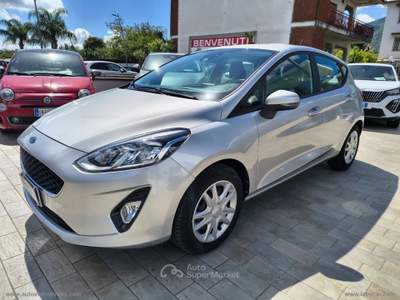 Ford Fiesta Fiesta 1.1 75 CV GPL 5p. Plus Argento usata Somma Vesuviana