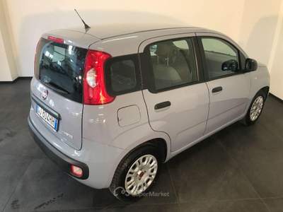 Fiat Panda 1.0 FireFly S&S Hybrid Grigio usata Casalserugo