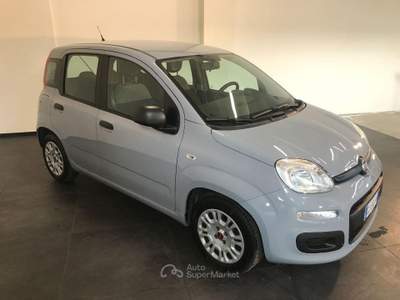 Fiat Panda 1.0 FireFly S&S Hybrid Grigio usata Casalserugo