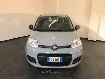 Fiat Panda 1.0 FireFly S&S Hybrid Grigio usata Casalserugo