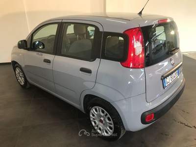 Fiat Panda 1.0 FireFly S&S Hybrid Grigio usata Casalserugo
