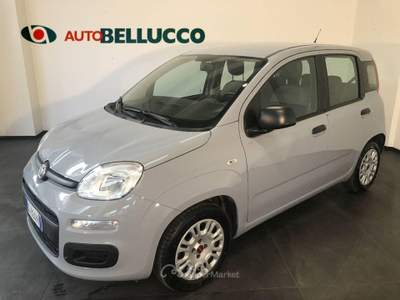 Fiat Panda 1.0 FireFly S&S Hybrid Grigio usata Casalserugo