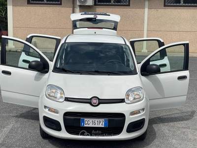 Fiat Panda 1.0 FireFly S&S Hybrid Euro 6D 6 Marce Bianco usata Fiumicino