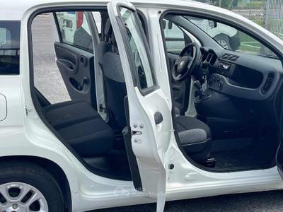 Fiat Panda 1.0 FireFly S&S Hybrid Euro 6D 6 Marce Bianco usata Fiumicino