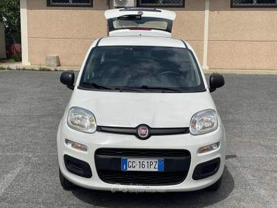 Fiat Panda 1.0 FireFly S&S Hybrid Euro 6D 6 Marce Bianco usata Fiumicino