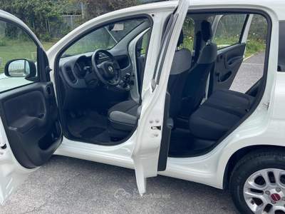Fiat Panda 1.0 FireFly S&S Hybrid Euro 6D 6 Marce Bianco usata Fiumicino