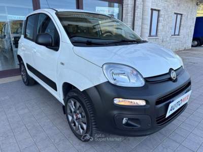 Fiat Panda 4x4 Van 1.3 Mjt 75 Cv Eu5 Bianco usata Campobasso