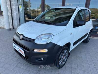 Fiat Panda 4x4 Van 1.3 Mjt 75 Cv Eu5 Bianco usata Campobasso