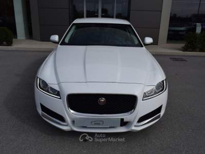 Jaguar XF 2.0 D 180 CV AWD aut. Prestige Bianco usata Cuneo