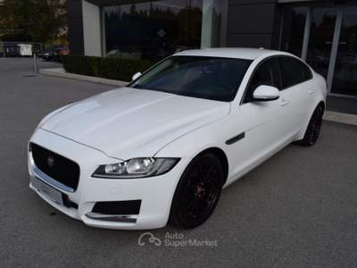 Jaguar XF 2.0 D 180 CV AWD aut. Prestige Bianco usata Cuneo