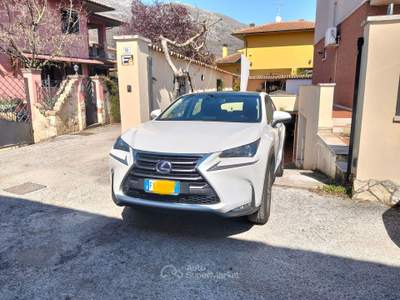 Lexus NX Nemmeno un graffio, come nuova in tutto Bianco usata Avezzano
