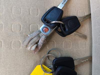 Fiat Panda Impianto GPL appena revisionato, tagliandata completamente usata Vairano Patenora