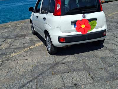 Fiat Panda Fiat panda 1.3 multijet 80 cv Anno 2016 Bianco usata Valverde
