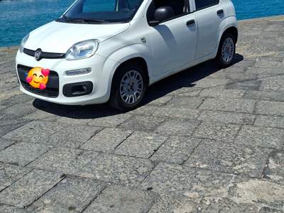 Fiat Panda Fiat panda 1.3 multijet 80 cv Anno 2016 Bianco usata Valverde