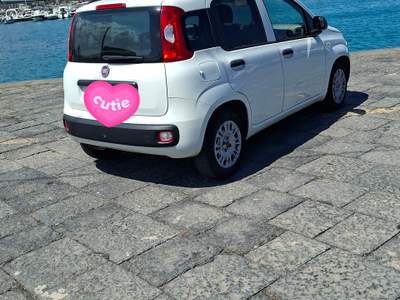 Fiat Panda Fiat panda 1.3 multijet 80 cv Anno 2016 Bianco usata Valverde