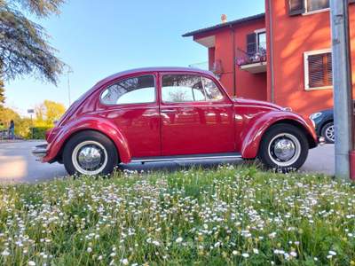 Volkswagen Maggiolino  Rosso usata Sant'Angelo in Vado