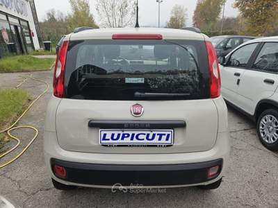 Fiat Panda METANO - LOUNGE Beige usata Colleferro