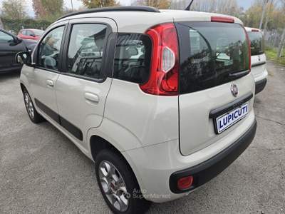 Fiat Panda METANO - LOUNGE Beige usata Colleferro