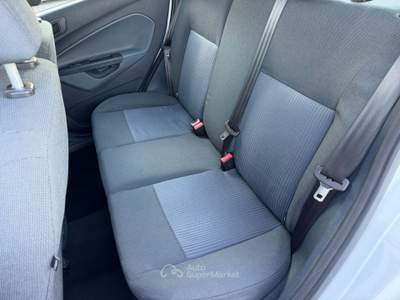 Ford Fiesta 5 porte Titanium  NEOPATENTATI Bianco usata Rovigo