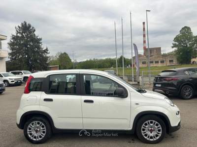 Fiat Panda PROMO 1.0 firefly hybrid s&amp;s 70cv Bianco usata Borgo San Lorenzo