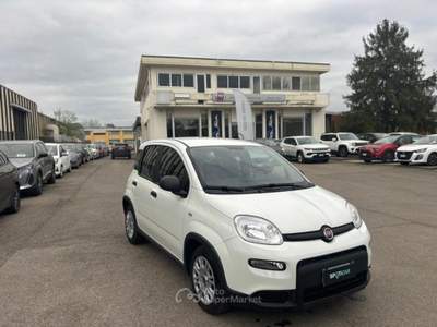 Fiat Panda PROMO 1.0 firefly hybrid s&amp;s 70cv Bianco usata Borgo San Lorenzo