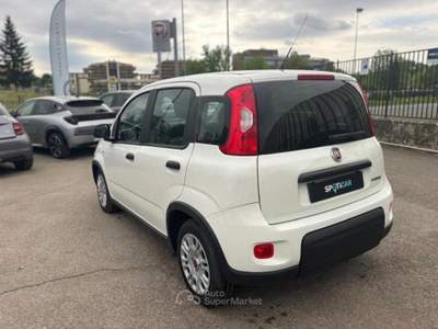 Fiat Panda PROMO 1.0 firefly hybrid s&amp;s 70cv Bianco usata Borgo San Lorenzo