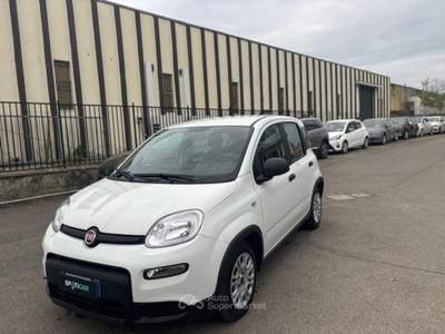Fiat Panda PROMO 1.0 firefly hybrid s&s 70cv Bianco usata Borgo San Lorenzo Fiat Panda PROMO 1.0 firefly hybrid s&s 70cv Bianco usata Borgo San Lorenzo