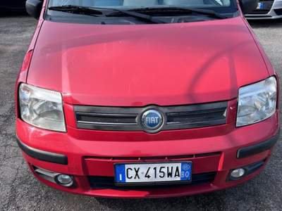 Fiat Panda 1.2 Dynamic usata Coriano