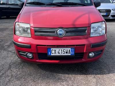 Fiat Panda 1.2 Dynamic usata Coriano