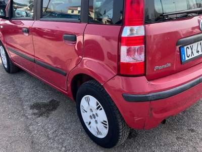Fiat Panda 1.2 Dynamic usata Coriano