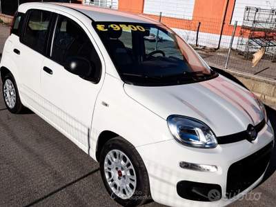 Fiat Panda IBRIDA DEL 2022 €8900 usata San Secondo di Pinerolo