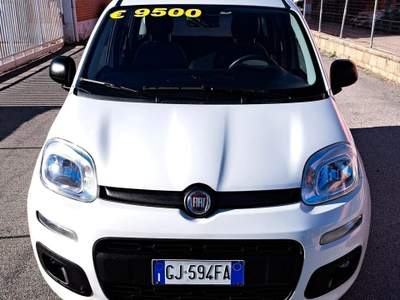 Fiat Panda IBRIDA DEL 2022 €8900 usata San Secondo di Pinerolo