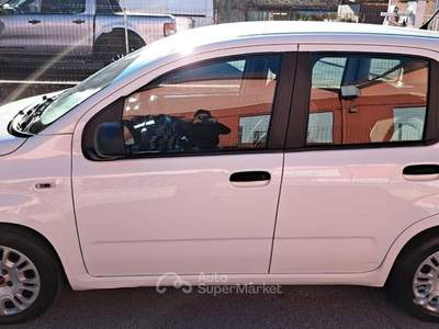 Fiat Panda IBRIDA DEL 2022 €8900 usata San Secondo di Pinerolo