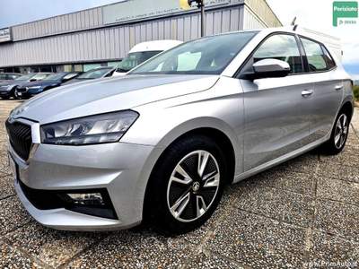 Skoda Fabia 1.0 MPI 80 CV Ambition Argento usata Trevi