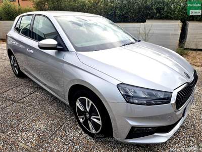 Skoda Fabia 1.0 MPI 80 CV Ambition Argento usata Trevi