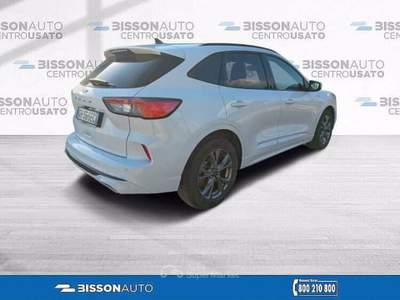 Ford Kuga 1.5 ecoblue ST-Line 2wd 120cv Bianco usata Grumolo delle Abbadesse