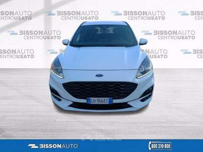 Ford Kuga 1.5 ecoblue ST-Line 2wd 120cv Bianco usata Grumolo delle Abbadesse