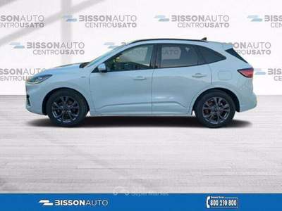 Ford Kuga 1.5 ecoblue ST-Line 2wd 120cv Bianco usata Grumolo delle Abbadesse