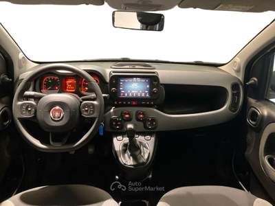 Fiat Panda Panda Cross 1.0 FireFly Hybrid 70cv S&S 5p.ti Bianco usata Como