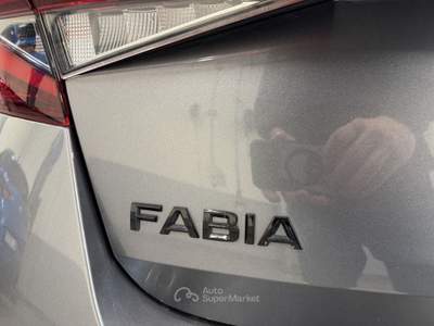 Skoda Fabia 1.0 tsi Young Edition 95cv Grigio usata Pistoia