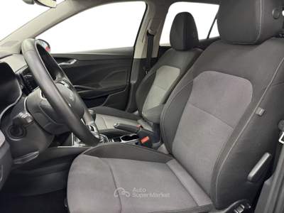 Skoda Fabia 1.0 tsi Young Edition 95cv Grigio usata Pistoia