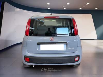 Fiat Panda III 2021 1.0 firefly hybrid s&s 70cv Arancione usata Torino