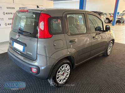 Fiat Panda 1.0 Hybrid 70 CV - NEOPATENTATI - PROMO Grigio usata Este