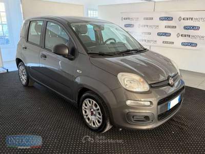 Fiat Panda 1.0 Hybrid 70 CV - NEOPATENTATI - PROMO Grigio usata Este
