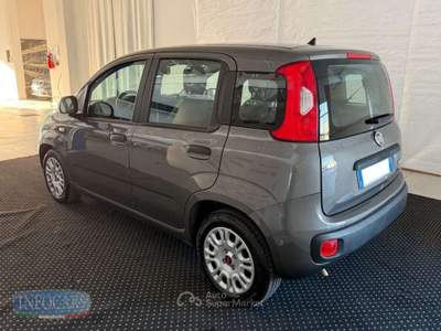 Fiat Panda 1.0 Hybrid 70 CV - NEOPATENTATI - PROMO Grigio usata Este