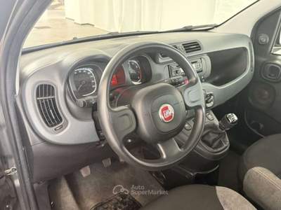 Fiat Panda 1.0 FireFly S&S Hybrid Grigio usata Este